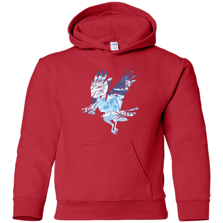 Sweatshirts Red / YS I know nothing Youth Hoodie