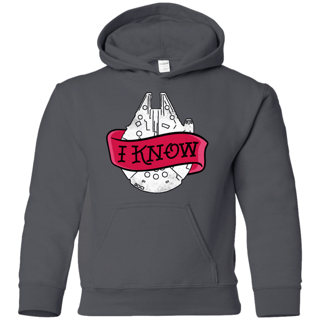 Sweatshirts Charcoal / YS I Know Youth Hoodie