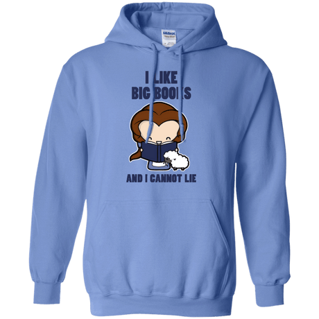 Sweatshirts Carolina Blue / Small I Like Big Books Pullover Hoodie