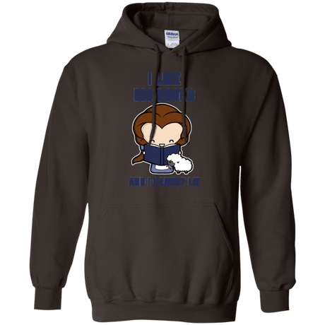 Sweatshirts Dark Chocolate / Small I Like Big Books Pullover Hoodie