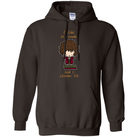Sweatshirts Dark Chocolate / Small I Like Big Books Pullover Hoodie