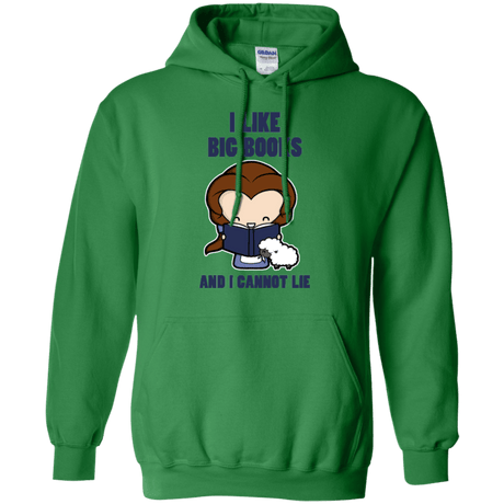 Sweatshirts Irish Green / Small I Like Big Books Pullover Hoodie