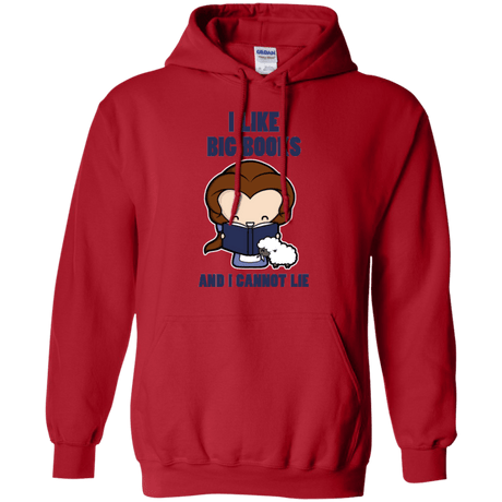 Sweatshirts Red / Small I Like Big Books Pullover Hoodie