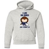 Sweatshirts Ash / YS I Like Big Books Youth Hoodie
