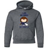 Sweatshirts Dark Heather / YS I Like Big Books Youth Hoodie