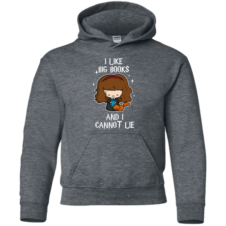Sweatshirts Dark Heather / YS I Like Big Books Youth Hoodie