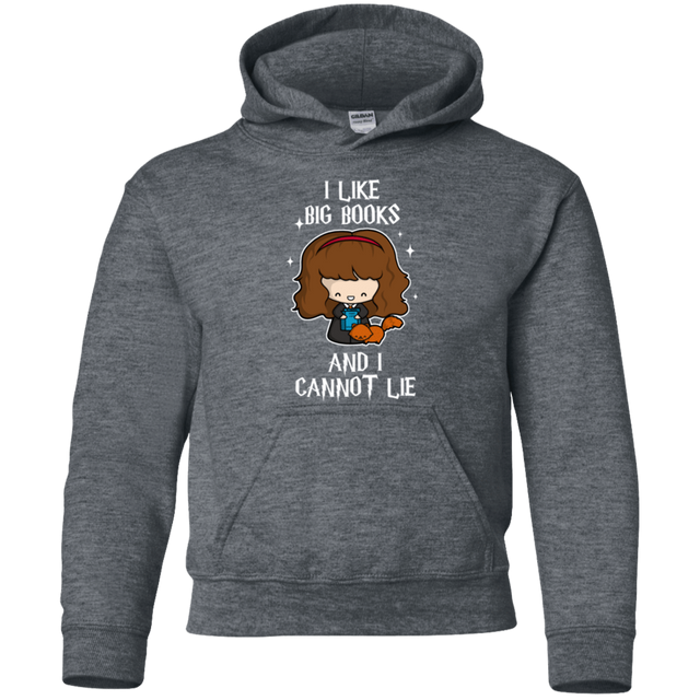 Sweatshirts Dark Heather / YS I Like Big Books Youth Hoodie