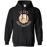 Sweatshirts Black / S I Like Cats Pullover Hoodie