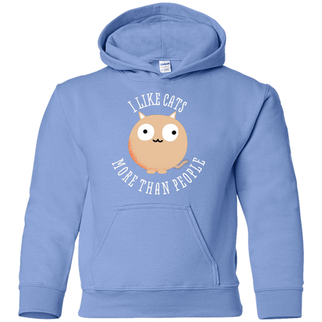 Sweatshirts Carolina Blue / YS I Like Cats Youth Hoodie