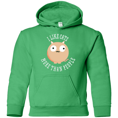 Sweatshirts Irish Green / YS I Like Cats Youth Hoodie