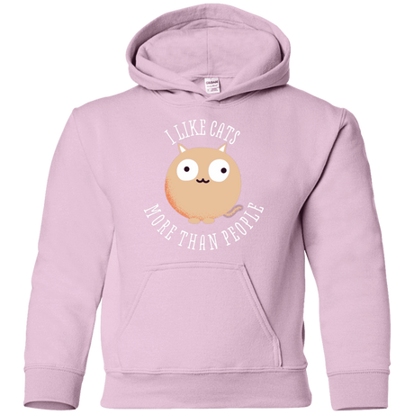 Sweatshirts Light Pink / YS I Like Cats Youth Hoodie