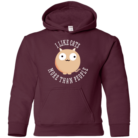 Sweatshirts Maroon / YS I Like Cats Youth Hoodie