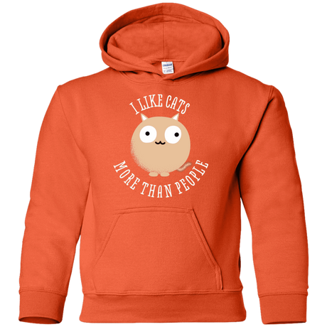 Sweatshirts Orange / YS I Like Cats Youth Hoodie