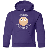 Sweatshirts Purple / YS I Like Cats Youth Hoodie