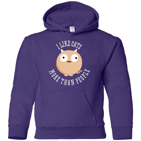 Sweatshirts Purple / YS I Like Cats Youth Hoodie