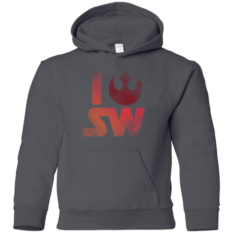 Sweatshirts Charcoal / YS I Rebel SW Youth Hoodie