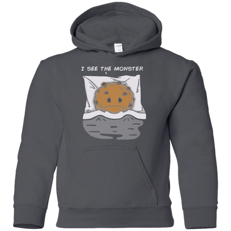 Sweatshirts Charcoal / YS I see the monster Youth Hoodie