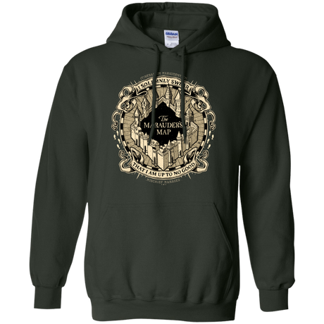 Sweatshirts Forest Green / Small I Solemnly Swear Pullover Hoodie