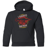 Sweatshirts Black / YS I SURVIVED THE PARK Youth Hoodie