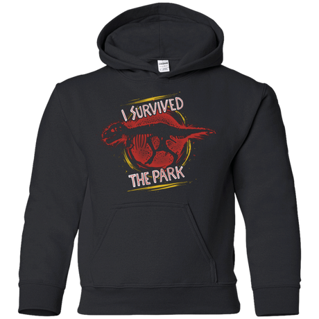 Sweatshirts Black / YS I SURVIVED THE PARK Youth Hoodie