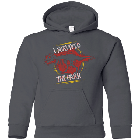 Sweatshirts Charcoal / YS I SURVIVED THE PARK Youth Hoodie
