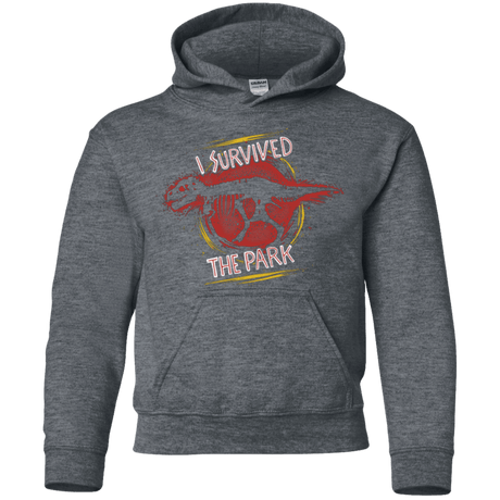 Sweatshirts Dark Heather / YS I SURVIVED THE PARK Youth Hoodie