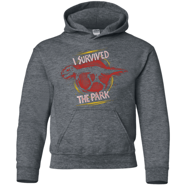 Sweatshirts Dark Heather / YS I SURVIVED THE PARK Youth Hoodie