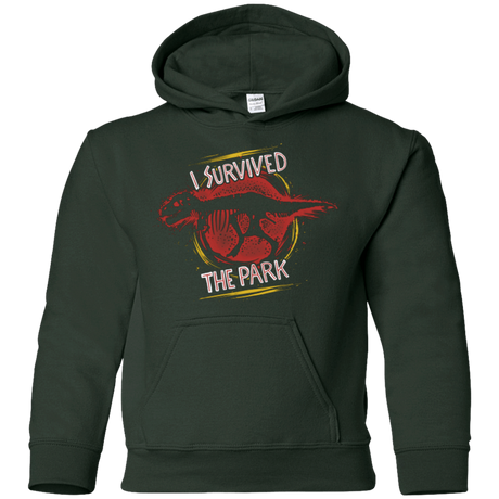 Sweatshirts Forest Green / YS I SURVIVED THE PARK Youth Hoodie