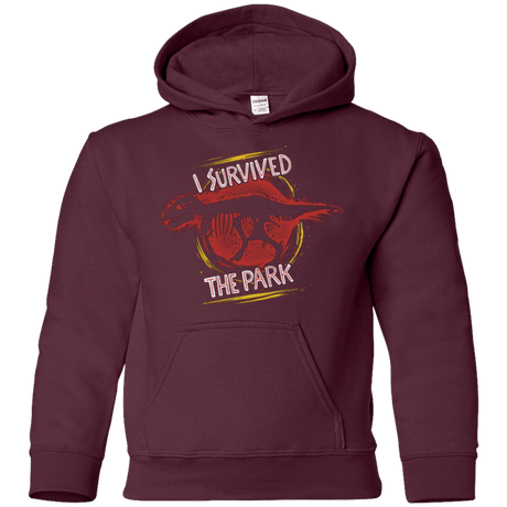 Sweatshirts Maroon / YS I SURVIVED THE PARK Youth Hoodie