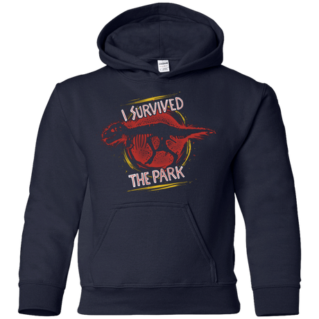 Sweatshirts Navy / YS I SURVIVED THE PARK Youth Hoodie