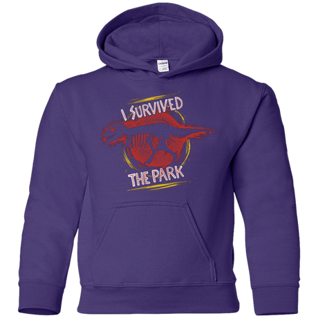 Sweatshirts Purple / YS I SURVIVED THE PARK Youth Hoodie