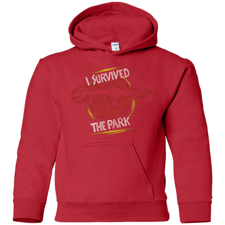 Sweatshirts Red / YS I SURVIVED THE PARK Youth Hoodie