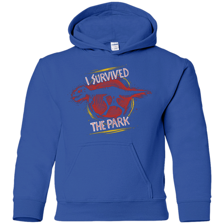 Sweatshirts Royal / YS I SURVIVED THE PARK Youth Hoodie