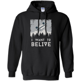 Sweatshirts Black / Small I Want to Believe Pullover Hoodie