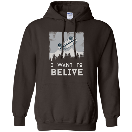 Sweatshirts Dark Chocolate / Small I Want to Believe Pullover Hoodie