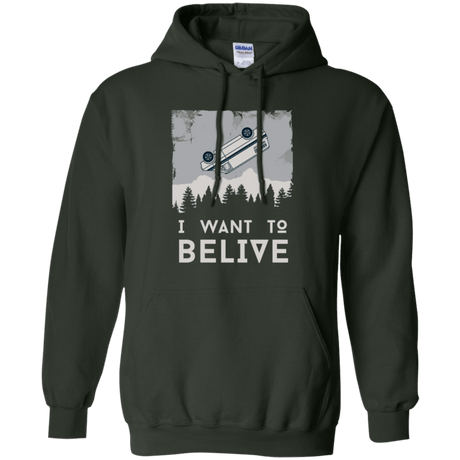 Sweatshirts Forest Green / Small I Want to Believe Pullover Hoodie