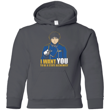 Sweatshirts Charcoal / YS I Want You To Be A State Alchemist Youth Hoodie