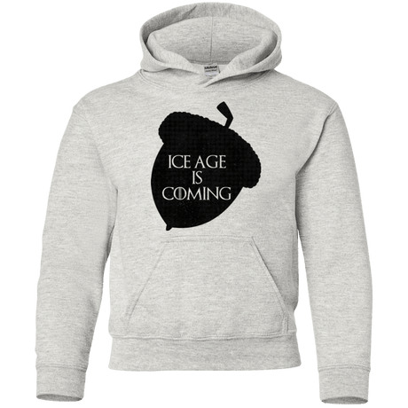 Sweatshirts Ash / YS Ice coming Youth Hoodie