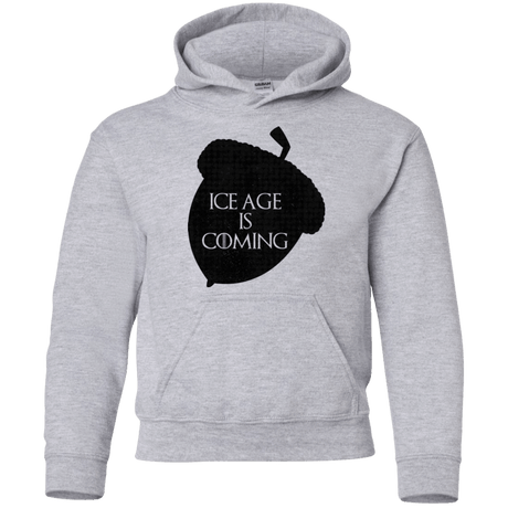 Sweatshirts Sport Grey / YS Ice coming Youth Hoodie