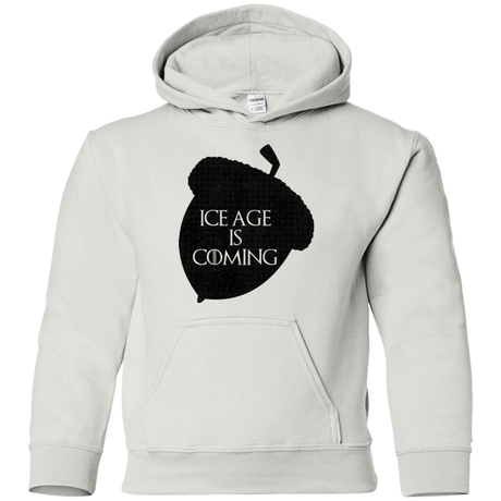 Sweatshirts White / YS Ice coming Youth Hoodie