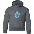 Sweatshirts Dark Heather / YS Ice Nightmare Youth Hoodie