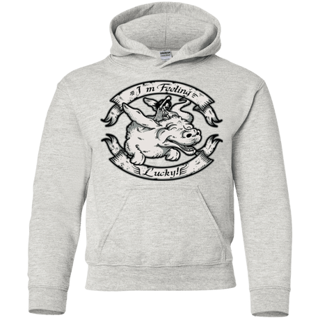 Sweatshirts Ash / YS IM FEELING LUCKY Youth Hoodie