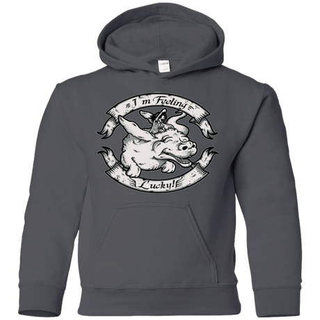 Sweatshirts Charcoal / YS IM FEELING LUCKY Youth Hoodie