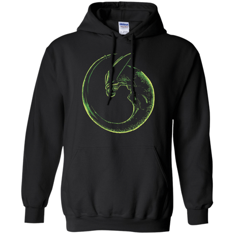 Sweatshirts Black / Small Imperfect Alien Pullover Hoodie