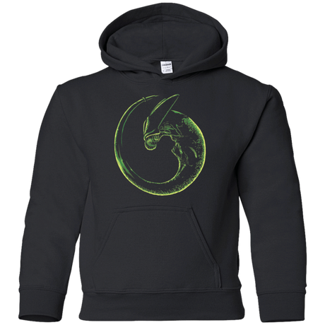 Sweatshirts Black / YS Imperfect Alien Youth Hoodie