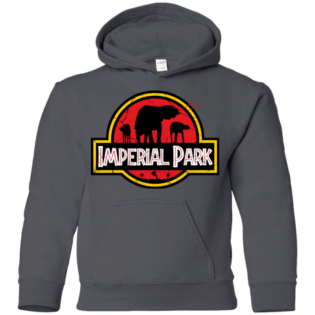 Sweatshirts Charcoal / YS Imperial Park Youth Hoodie
