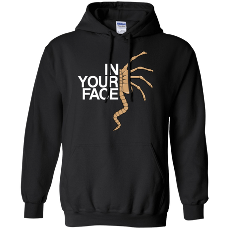 Sweatshirts Black / Small IN YOUR FACE Pullover Hoodie