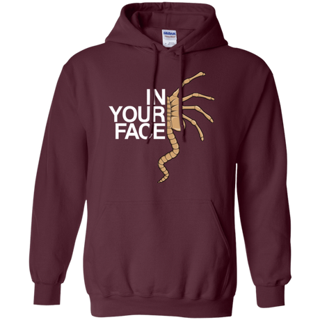Sweatshirts Maroon / Small IN YOUR FACE Pullover Hoodie
