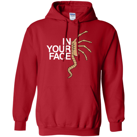 Sweatshirts Red / Small IN YOUR FACE Pullover Hoodie