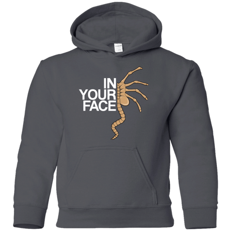 Sweatshirts Charcoal / YS IN YOUR FACE Youth Hoodie